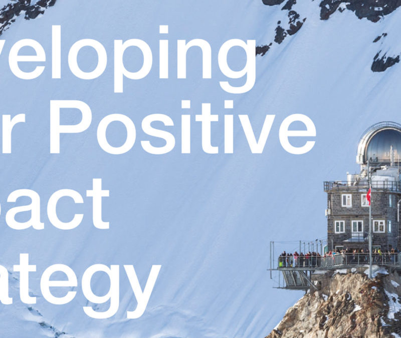 SBA 2030 Playbook
