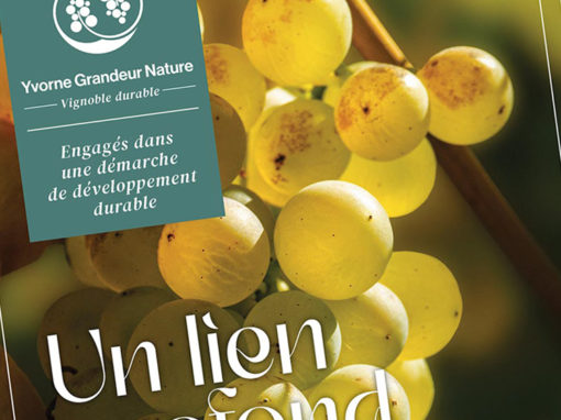 Yvorne Grandeur Nature